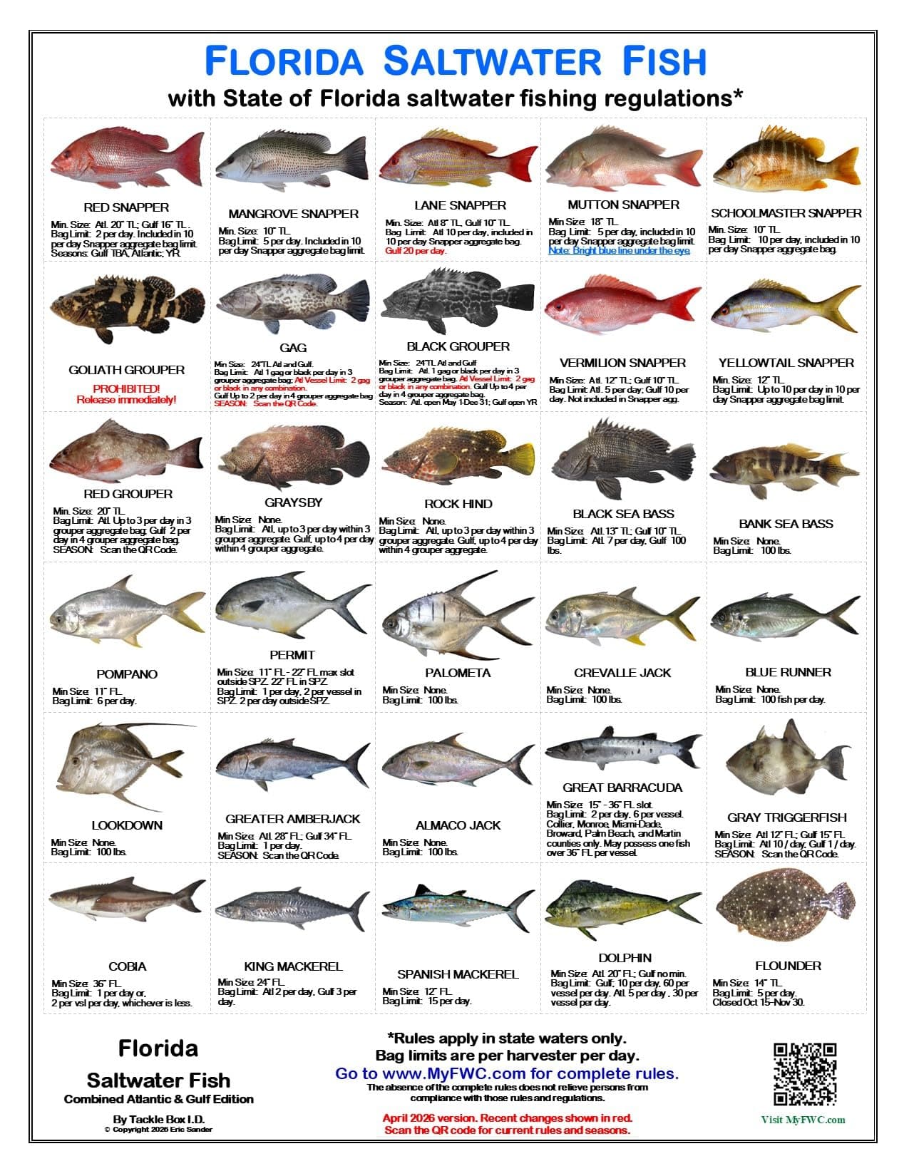 Florida Saltwater Fish Identification Card Set - Three Cards, 59 Common Fish - 17 Common Sharks - New Feb 1, 2020 Spotted Seatrout Rules and Zones