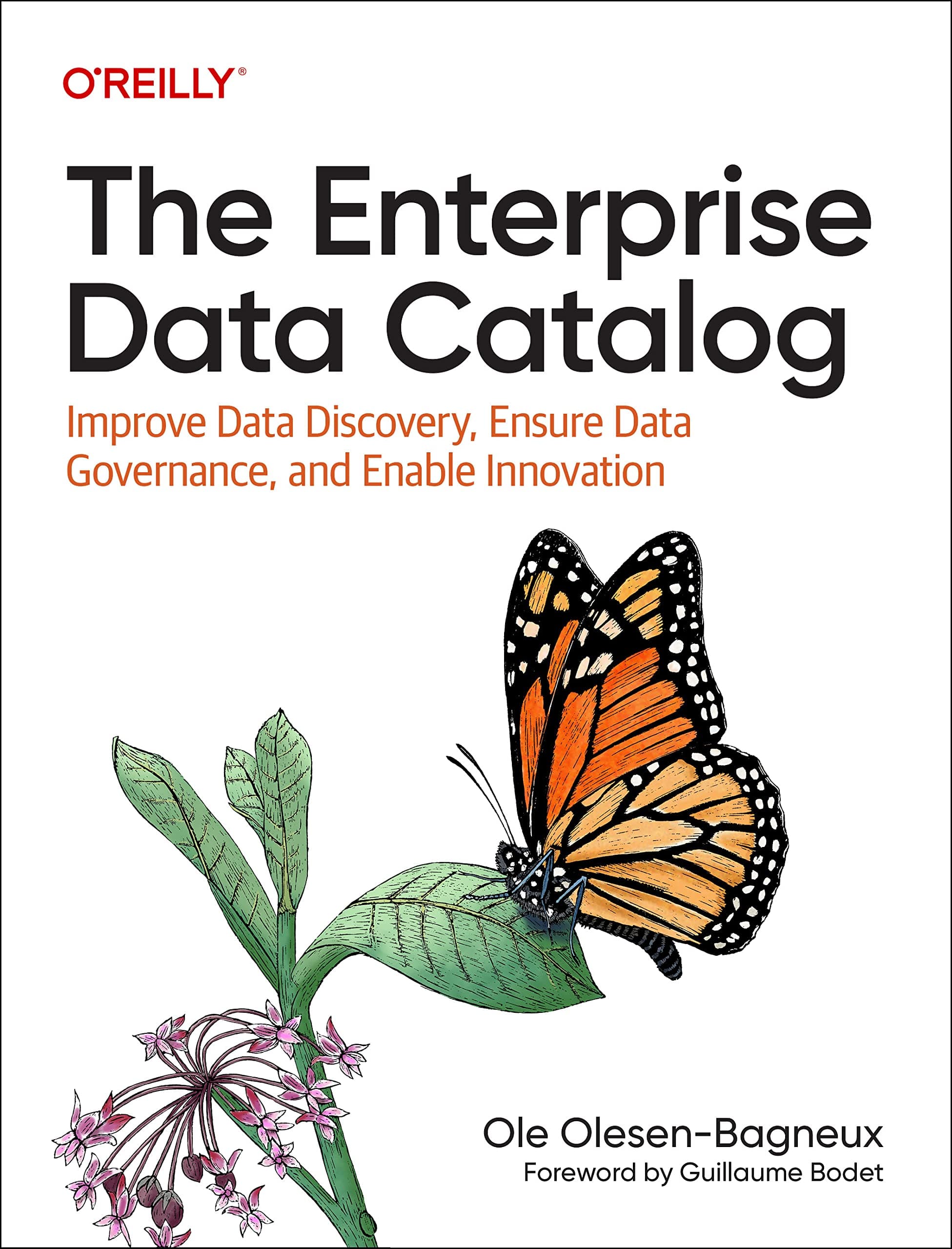 The Enterprise Data Catalog: Improve Data Discovery, Ensure Data Governance, an