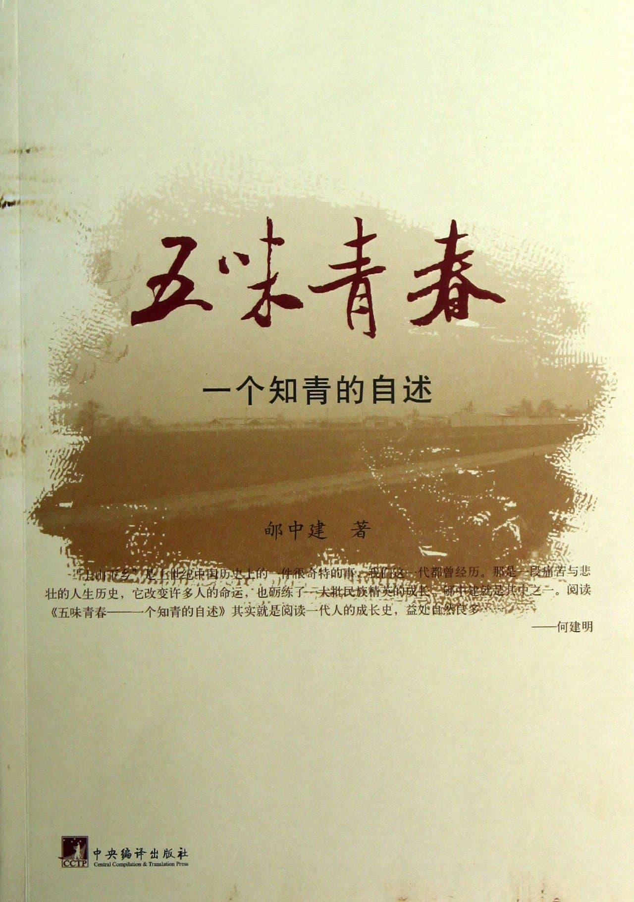 Five Flavors Youth (Chinese Edition)