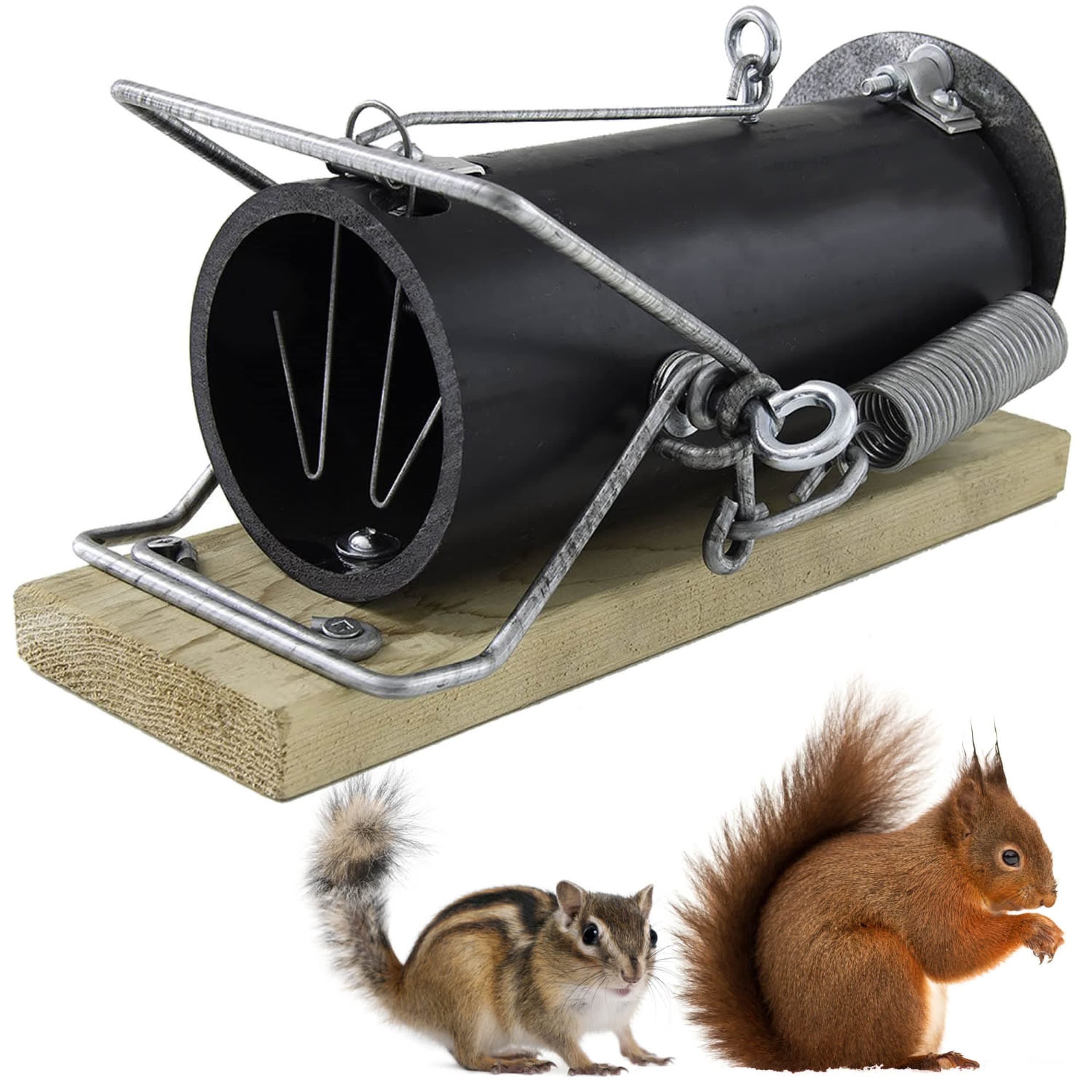 Squirrel Outdoor - Squirrel - - Trap for Squirrels (Small)