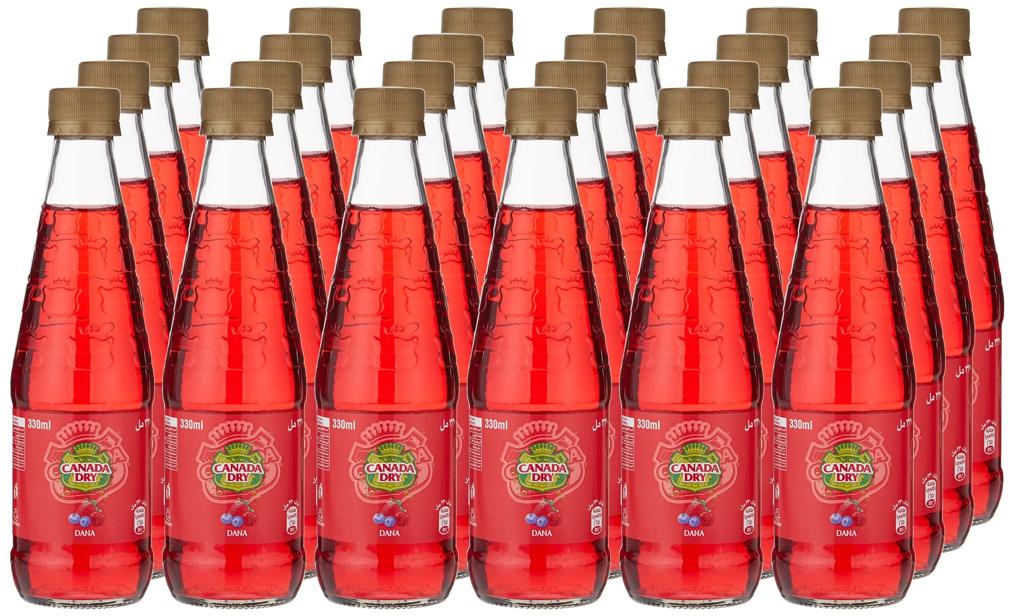 Canada Dry Dana Soft Drink Non-Returnable Bottle 24-Pieces 330 ml