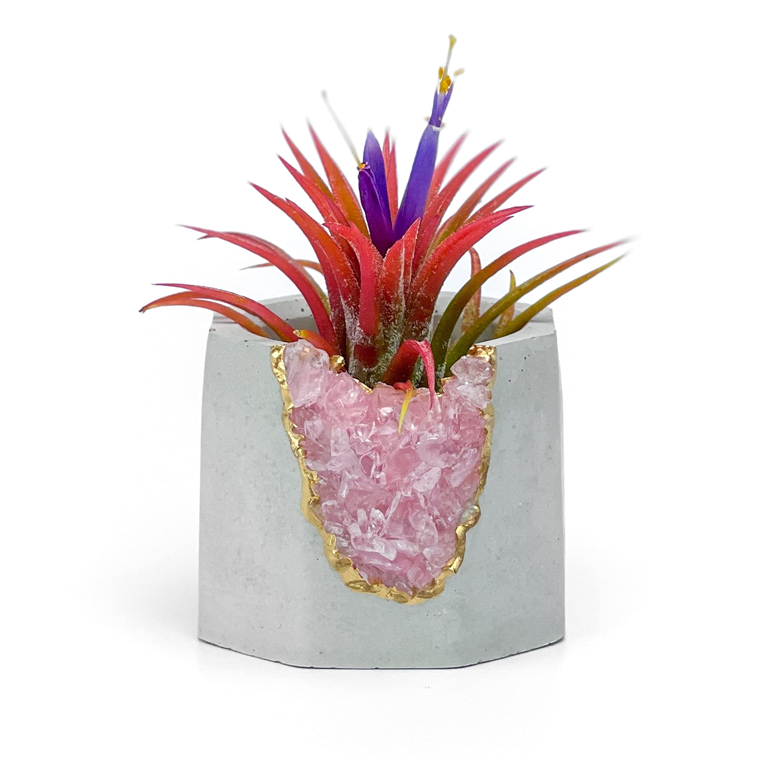 Geode Planter | Raw Rose Quartz Crystal Planter | Mini Succulent Pot | Concrete Plant Pot | Unique Air Plant Holder | Healing Crystals Candle Holder