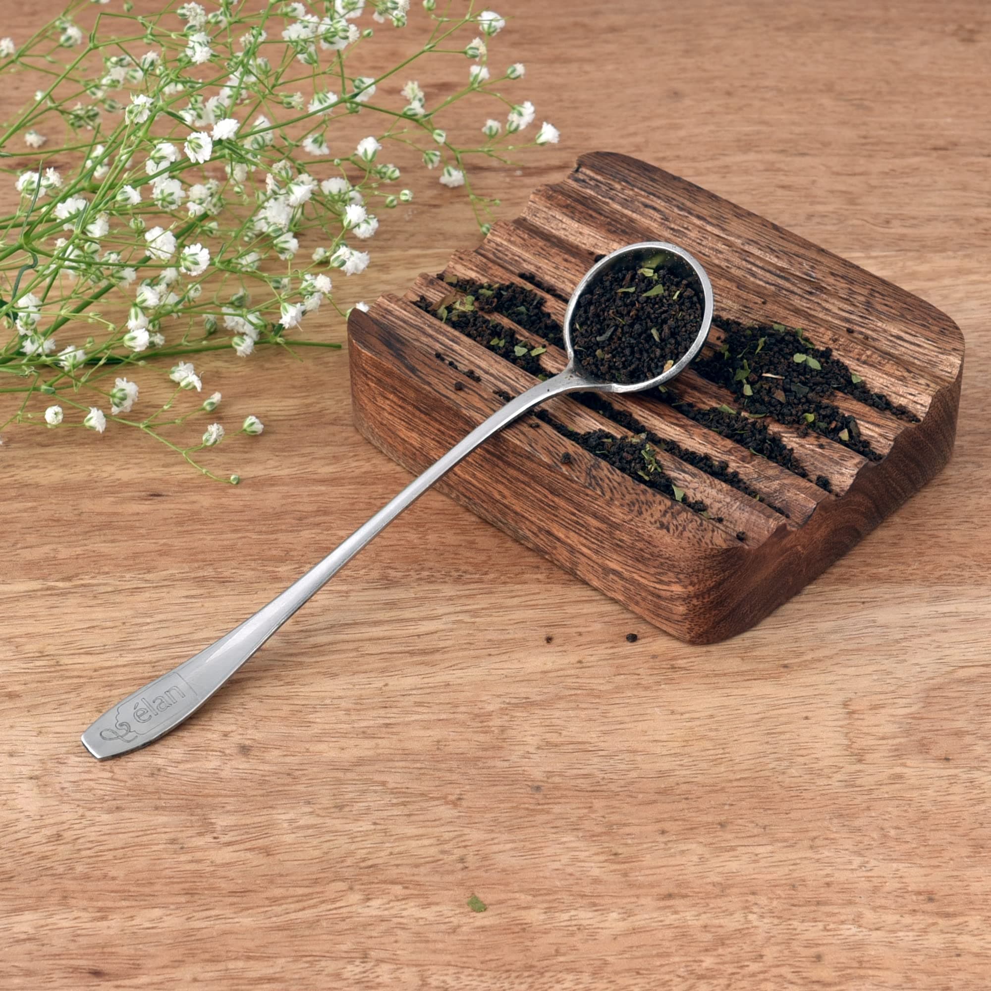 Elan Stainless Steel Spoon for Coffee, Tea Container