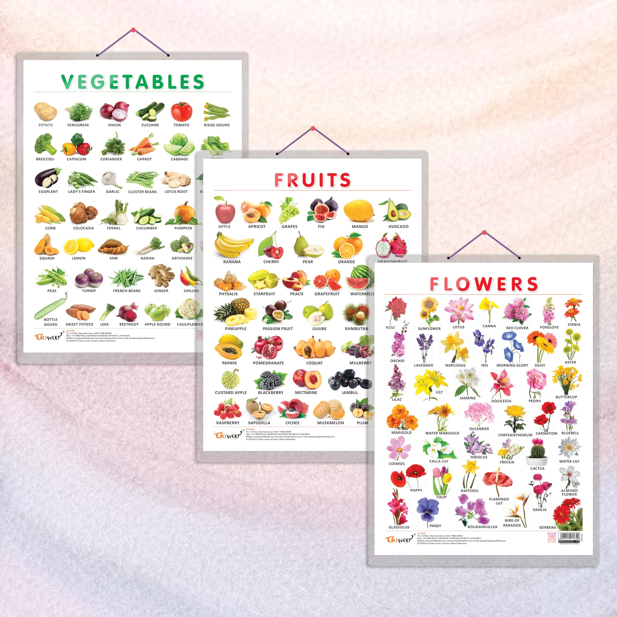 GO WOONUMBER 1-10 CHART HARD LAMINATED, NUMBER 1-50 CHART HARD LAMINATED, and VEGETABLE CHART HARD LAMINATED | combo of 3 charts | Vibrant Numbers and Vegetable Exploration