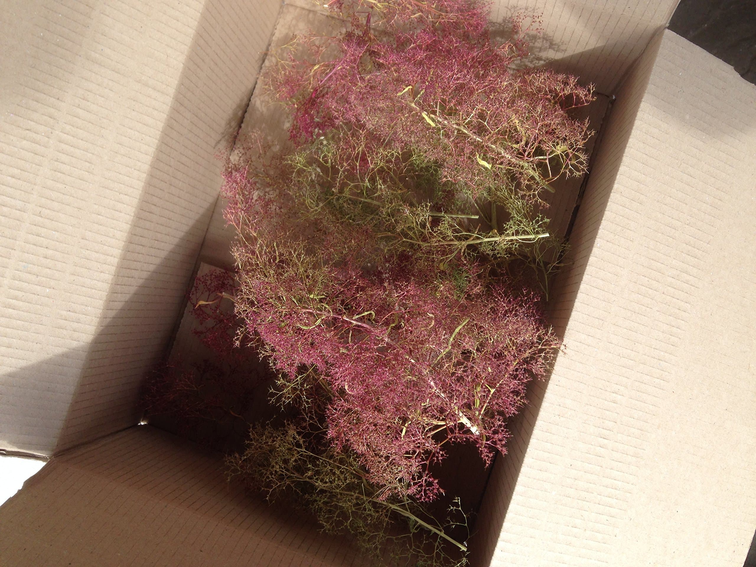 Gaugemaster GM-GM195 Sea Foam Tree Making Set