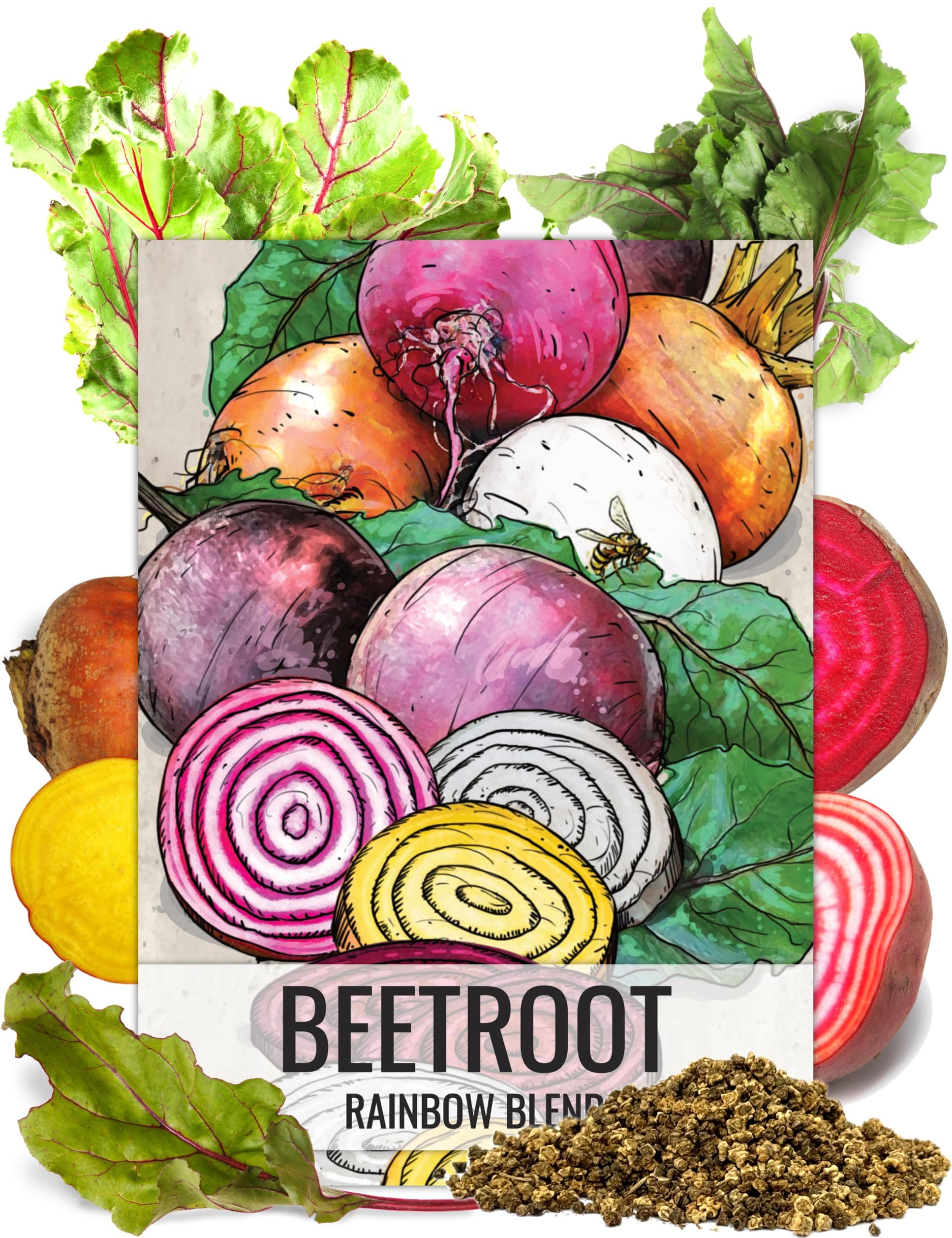 Seed Needs Rainbow Beet Seeds for Planting 8 Varieties | 1,500+ Heirloom Seeds Beet Beta Vulgaris Non GMO Untreated | Great Home Garden Favorites Vegetable Beet Seed | Bulk