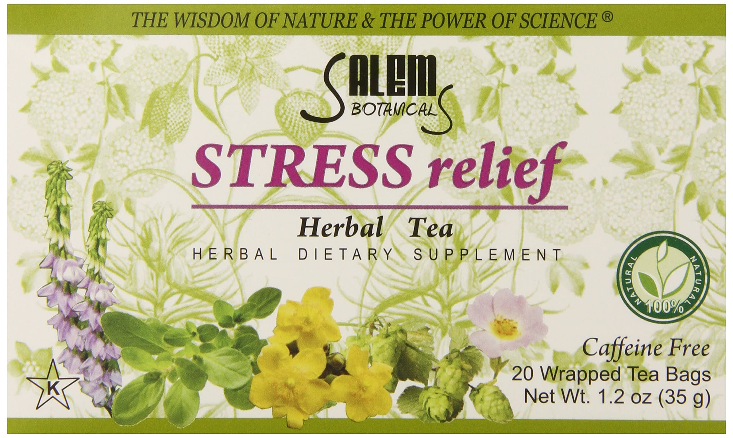 Salem Botanicals Herbal Tea, Stress Relief, 20 Count
