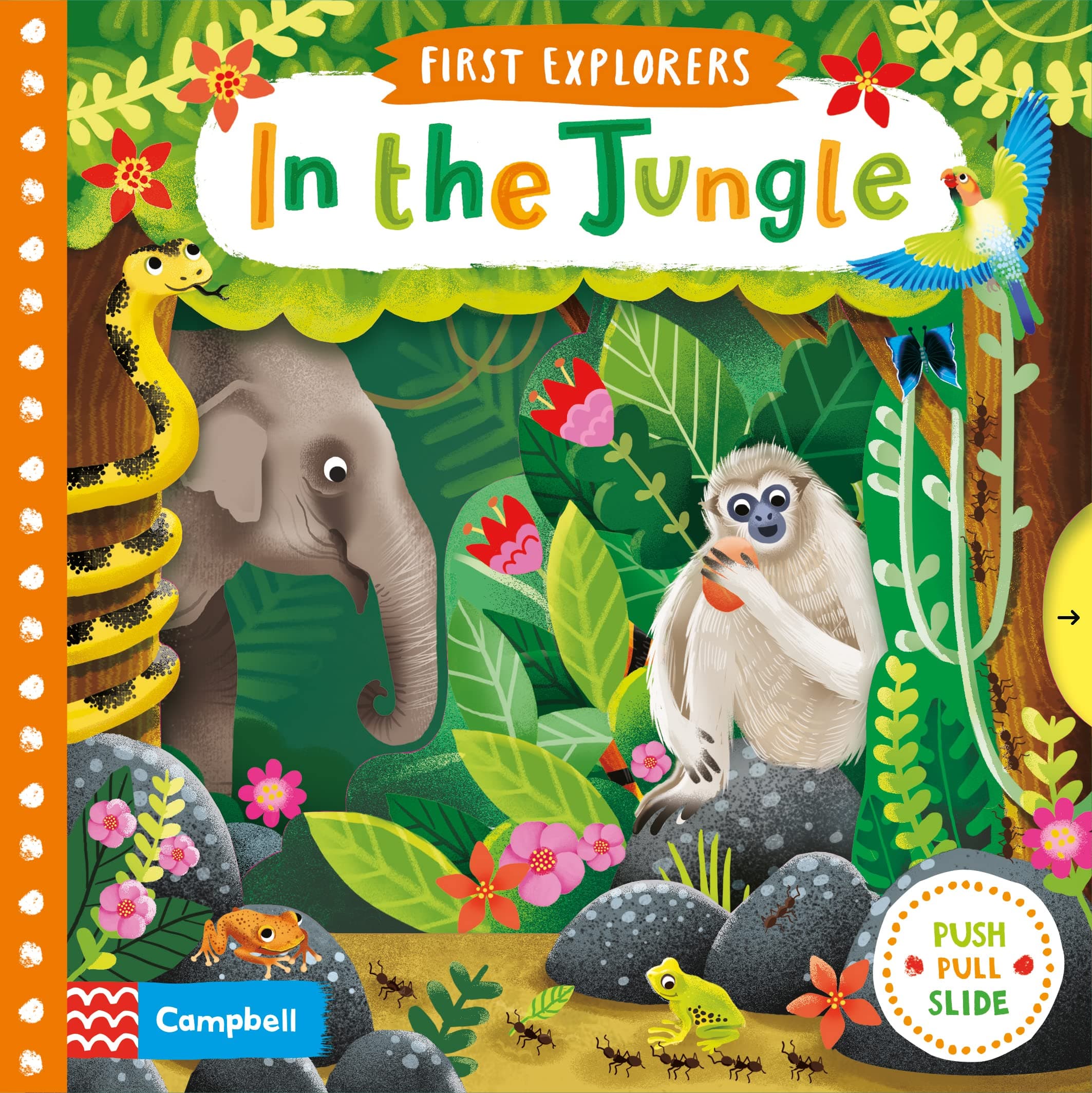 In the Jungle (Campbell First Explorers, 3)
