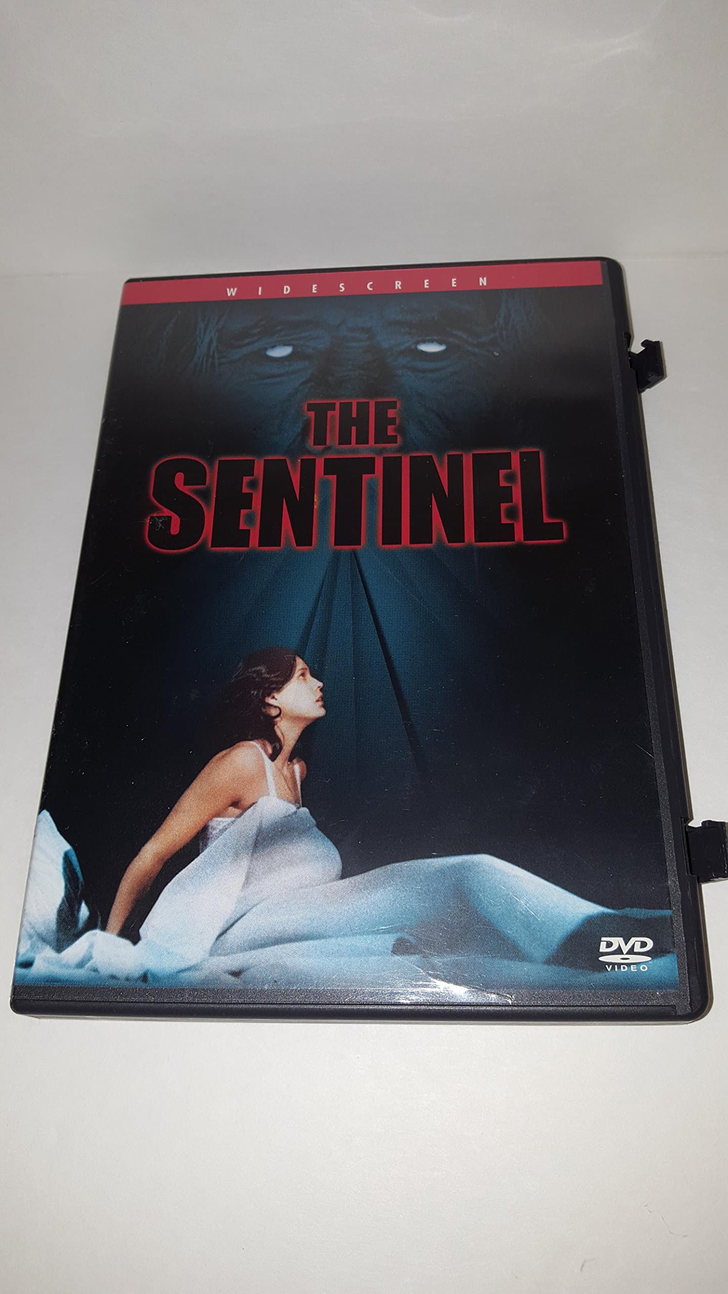 The Sentinel [DVD]