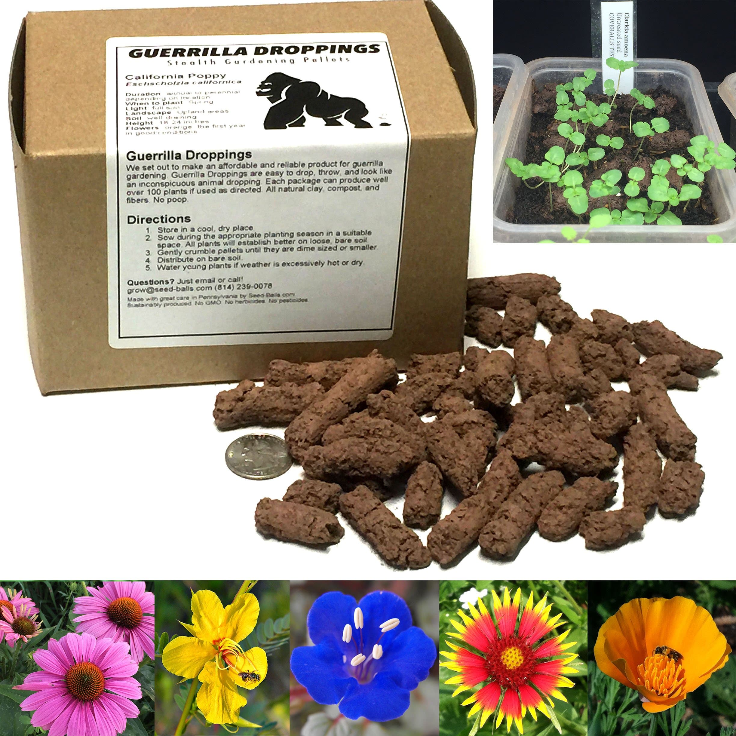 Guerrilla Droppings- Native to Your zipcode! Pollinator-Friendly Wildflower Gardening Pellets