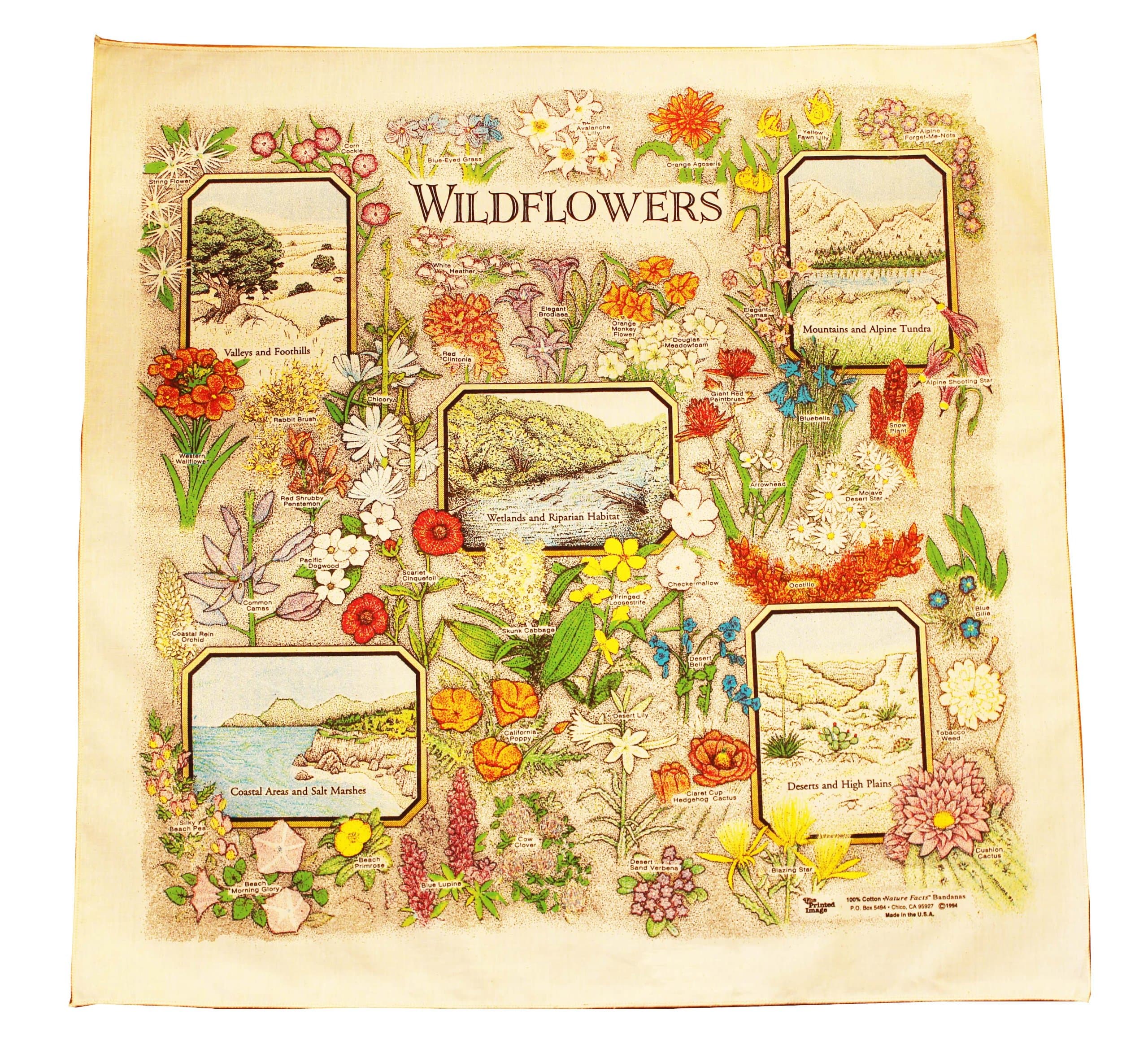 The Printed ImagePrinted Image SOO361-B Flowers Bandana