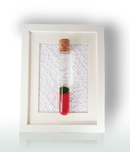 Marimo Moss Ball Nano In Mini Planter With Red Sand - Japanese RARE Green Live Moss - Terrarium Glass Vase Kit With Plants - Aquarium Plant Decor - Unique And Beautiful Gift