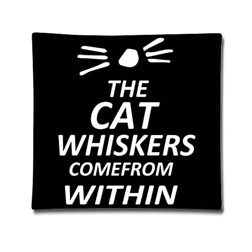 Dan And Phil ...999 Soft PillowCase 1818 Inch