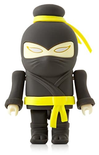 Bone Collection Fun Novelty DIY 8GB USB 2.0 Flash Drive Memory Stick - Kung Fu Master