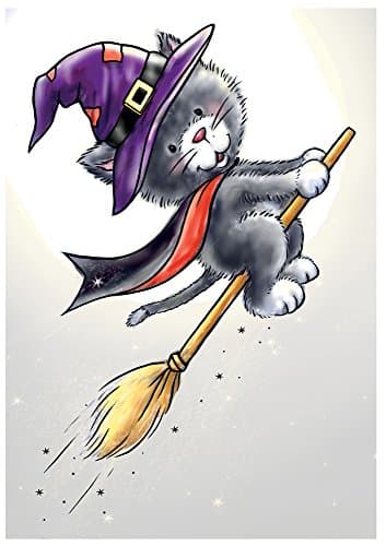 Wild Rose Studio Ltd. Clear Stamp 3.5-Inch x 3-Inch Halloween Cat, Acrylic, Multicoloured, 2-Piece