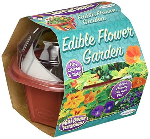 Dunecraft 28073 Edible Flowers Mini Dome