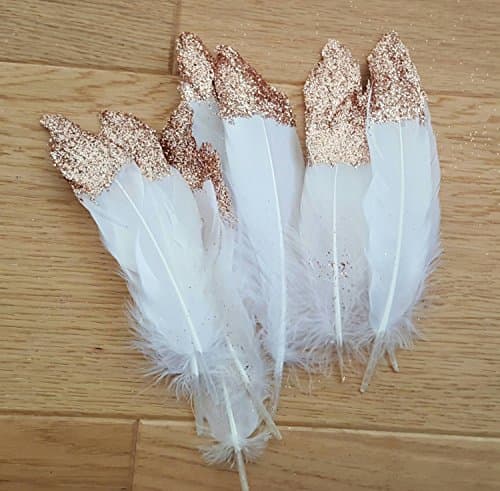 Rose Gold Glittered Feathers