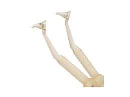 Instruments for composite Contact Gold Contact Points – TdV Code: 4404202