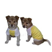 FM PETS Dog T-Shirt