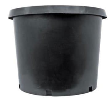 Pot, Round, Nursery, 1 Gallon, Black Plastic , Half Dozen
