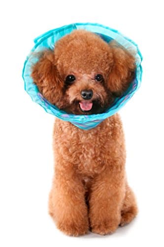 Premium Plush E-Collar Cone For Dogs & Cats, Elizabethan Collar is Soft and Durable for Ultimate Bite Not Protection During Recovery, Comes in Every Size, Choose Blue, Pink, Green Plaid, Guaranteed