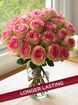 Two Dozen Crown Majesty Roses