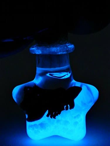 Glowing Betta Fish Star , Bottle Necklace, Handmade