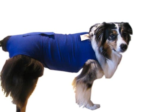 Surgi Snuggly E Collar Alternative, Created By A Veterinarian Specifically to Fit Your Dog, Small