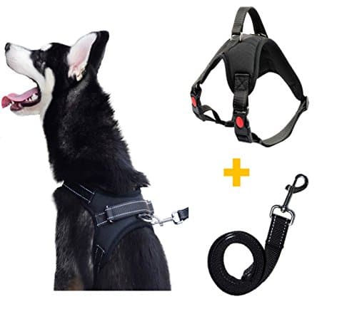 Pawya Dog Harness and Leash Set Heavy Duty No Pull Adjustable 3M Reflective Oxford Material Vest Harness Easy Control for Large Medium Small Dogs Training Hiking Walking Pet Harness