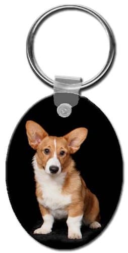 Cardigan Welsh Corgi Key Chain