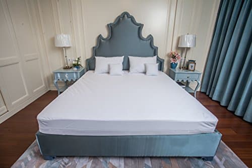 PURE PROTECTOR Zippered Mattress Encasement, Bed Bug Proof, Dust Mite Proof, Waterproof, Breathable, Noiseless, Vinyle Free (California King)