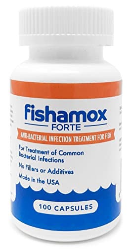 Fishamox Forte - 500MG (100 Capsules)