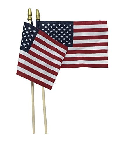 American Hand Flag ~ 4" x 6" (2 Pack)