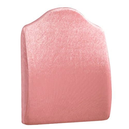 Sleep Science Patented Premium Ergonomic Memory Foam Lumbar Support Pillow Lower Back Pain Relief Lumbar Cushion Lumbar Back Cushion for Office Chairs and Cars Tall (Pink)