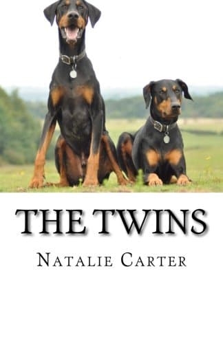 The Twins Paperback – June 22, 2014