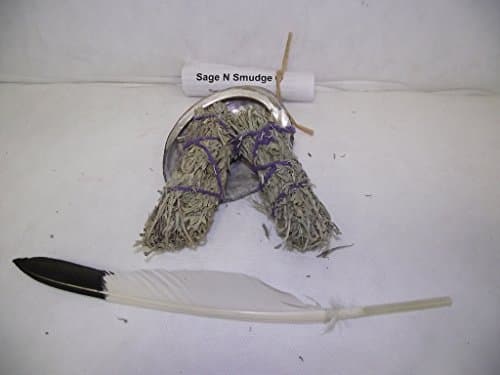 Sage Smudge Kit for Smudging With Abalone Shell 2 Desert Sage Feather and Directions