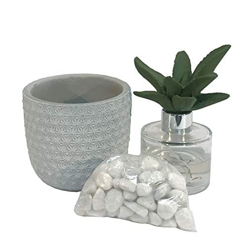 marymarygardens Cactus Home Diffuser Set with a Distressed Floral Patterned Cement Pot - Style C