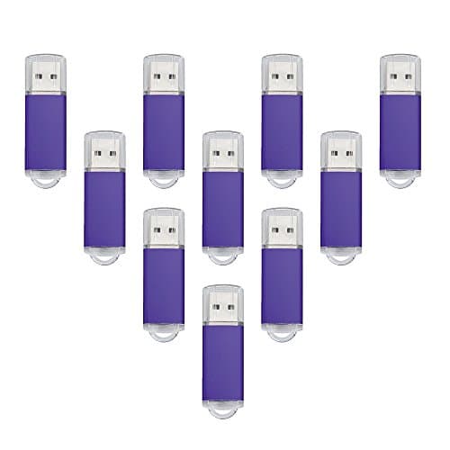 JOIOT 4GB USB 2.0 Flash Drive with 5 Lanyards, Purple (10 Pieces)
