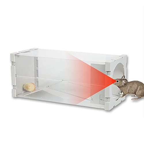 YOUNING Mouse Trap Killer Walk The Plank Mouse Trap Clean Easy and Humane Extermination of Mice (1pack)