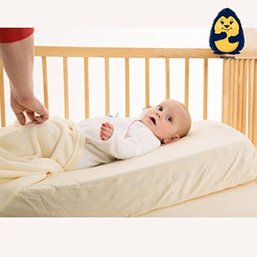 The Wedgehog® Cot Reflux Wedge (60cm Reflux Pillow) - Includes Free Bundled Reflux eBook