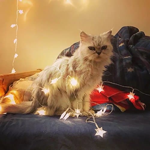 Timewanderer Led Star String Fairy Decorative Lights AA Battery Operated Lighting on Clear Wire for Indoor Outdoor DIY Decoration (4.5 m /14.7ft 30 stars, warm white)