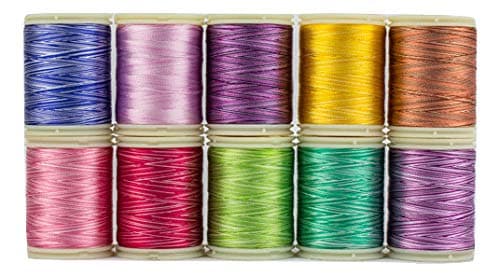 WonderFil, Specialty Threads, Splendor, 2-Ply Rayon Versatile Thread, 40wt, Variegated B - Set of 10