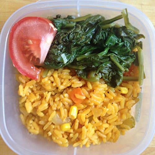 Warmables Kids Lunch Kit keeps food warm (bugging out)