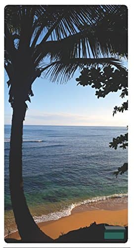 Fridge Gallery - Magnetized Photo and Card Display System. Conveniently Organize and Display Photos, Cards, Invites and More On Your Fridge Or Other Magnetic Surfaces. (Kauai Palm)