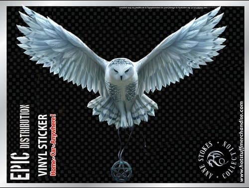 ANNE STOKES OWL MAGIC AUTO WINDOW STICKER