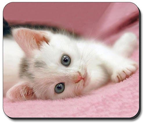 Art Plates brand - Relaxed Kitten Mouse Pad