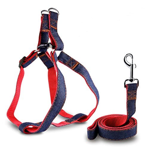 AROVA Dog Leash Harness, Adjustable & Durable Leash Set & Heavy Duty Denim Dog Leash Collar for Small Dog, 2pcs Rescue No-Pull Leash and Harness Set, Perfect for Daily Training Walking Running