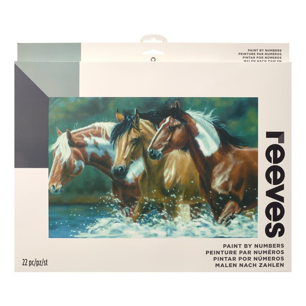 Reeves Heading Upstream Paint by Numbers Set, Large