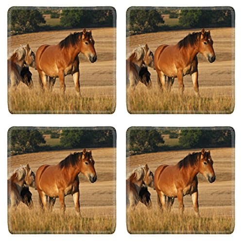 MSD Square Coasters Non-Slip Natural Rubber Desk Coasters design: 11376494 Nature in south Sweden in the province of Sk ne horses on a field