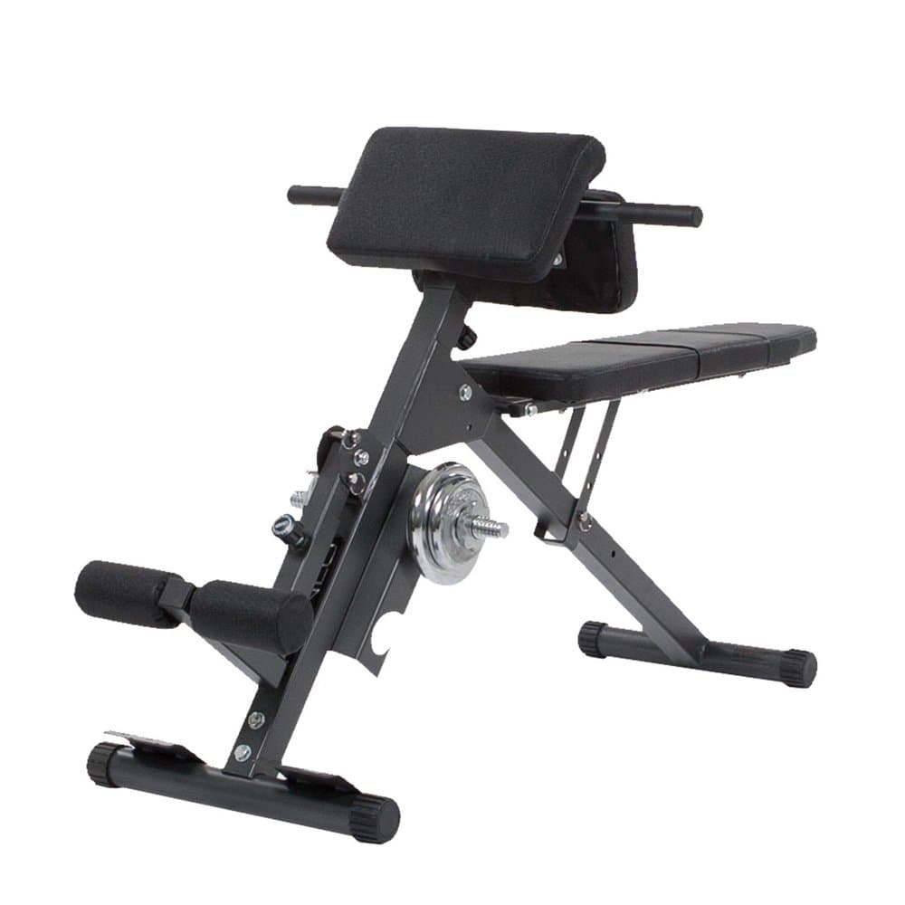 Finnlo 3864 Abs and Back Trainer